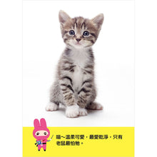 Load image into Gallery viewer, 忍者兔認知學習圖卡:數字123 x 字母ABC x 交通 x 動物【40張雙面全彩圖卡+收納鐵盒】