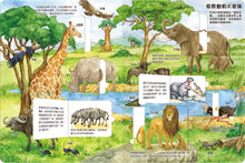 Load image into Gallery viewer, 我的STEAM翻翻書 系列