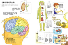 Load image into Gallery viewer, 我的STEAM翻翻書 系列