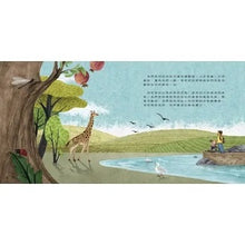 Load image into Gallery viewer, 世界中的孩子系列5-8:一起認識影響全球的關鍵議題──權利與平等、規則和責任、文化多樣性、地球與永續(全套四冊)