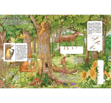 Load image into Gallery viewer, 我的STEAM翻翻書 系列