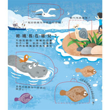 Load image into Gallery viewer, 翻翻書 系列:眼睛呢?牙齒呢?睡眠呢?男孩?女孩?