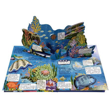 Load image into Gallery viewer, 立體遊戲書:海洋立體遊戲書(75種海洋生物+31個互動機關)