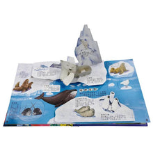 Load image into Gallery viewer, 立體遊戲書:海洋立體遊戲書(75種海洋生物+31個互動機關)