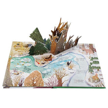 Load image into Gallery viewer, 立體遊戲書:二十四節氣(24個節氣+29個互動機關)