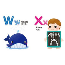 Load image into Gallery viewer, BABY啟蒙認知書:動物 x 交通工具 x ㄅㄆㄇ x ABC x 123