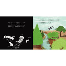 Load image into Gallery viewer, 登登登透光show:神秘恐龍來囉!