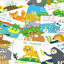 Load image into Gallery viewer, 1歲baby動物圖卡