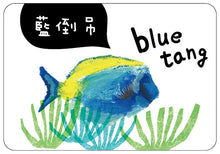 Load image into Gallery viewer, 海洋動物圖卡