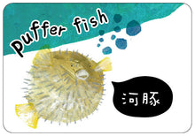 Load image into Gallery viewer, 海洋動物圖卡
