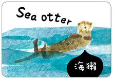 Load image into Gallery viewer, 海洋動物圖卡