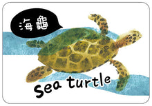Load image into Gallery viewer, 海洋動物圖卡