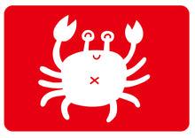 Load image into Gallery viewer, 0歲早教卡:形與色