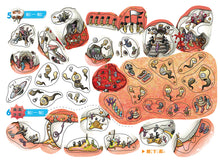 Load image into Gallery viewer, 金妮比尼系列:刷牙小小兵勇闖蛀牙王國-繪本+貼紙遊戲書