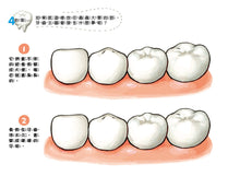Load image into Gallery viewer, 金妮比尼系列:刷牙小小兵勇闖蛀牙王國-繪本+貼紙遊戲書