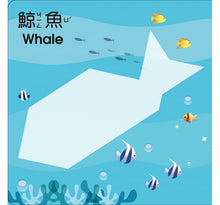 Load image into Gallery viewer, 5Q創意益智七巧板