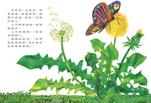 Load image into Gallery viewer, 艾瑞.卡爾經典圖畫書 2本:《小種籽》、《小羊和蝴蝶》