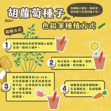 Load image into Gallery viewer, 胡蘿蔔種子