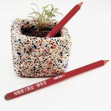 Load image into Gallery viewer, 胡蘿蔔種子