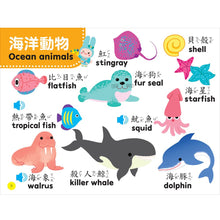 Load image into Gallery viewer, 忍者兔幼兒認知雙語有聲學習書