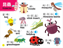 Load image into Gallery viewer, 忍者兔幼兒認知雙語有聲學習書