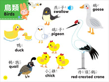 Load image into Gallery viewer, 忍者兔幼兒認知雙語有聲學習書