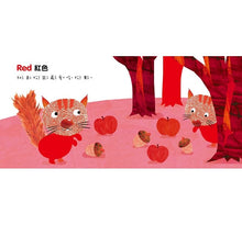 Load image into Gallery viewer, 指紋驚奇認知書