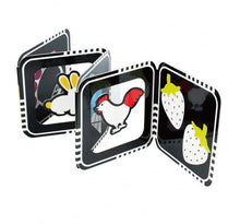 Load image into Gallery viewer, 寶寶視覺書