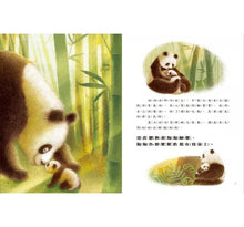 Load image into Gallery viewer, 愛的故事‧知識繪本5:我的神祕保母