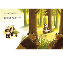 Load image into Gallery viewer, 愛的故事‧知識繪本5:我的神祕保母