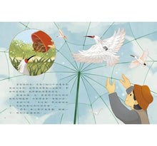 Load image into Gallery viewer, 愛的故事‧知識繪本12:尋找朱鷺五萬里