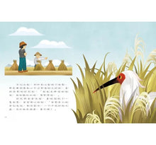 Load image into Gallery viewer, 愛的故事‧知識繪本12:尋找朱鷺五萬里