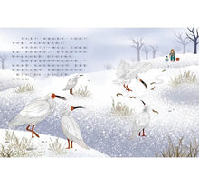 Load image into Gallery viewer, 愛的故事‧知識繪本12:尋找朱鷺五萬里