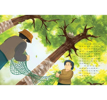 Load image into Gallery viewer, 愛的故事‧知識繪本12:尋找朱鷺五萬里