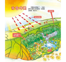 Load image into Gallery viewer, 孩子都想知道的為什麼 (全套6冊)