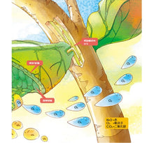 Load image into Gallery viewer, 孩子都想知道的為什麼 (全套6冊)