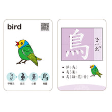 Load image into Gallery viewer, 漢字會說畫:自然 x 物象 x 人事