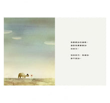 Load image into Gallery viewer, 天上掉下來的石頭