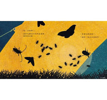 Load image into Gallery viewer, 夜間觀察:一趟夜訪大自然的父子散步