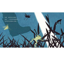 Load image into Gallery viewer, 夜間觀察:一趟夜訪大自然的父子散步