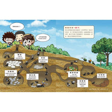 Load image into Gallery viewer, 蟲蟲博士的觀察報告 1-3