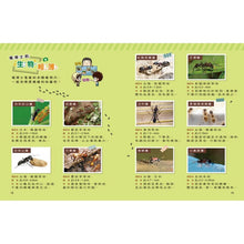 Load image into Gallery viewer, 蟲蟲博士的觀察報告 1-3