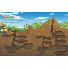Load image into Gallery viewer, 蟲蟲博士的觀察報告 1-3
