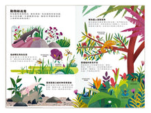 Load image into Gallery viewer, 小小知識家動手大發現-動物AMAZING!