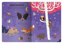 Load image into Gallery viewer, 出發!探索之旅!大書陪我看 (全系列4冊可單選)