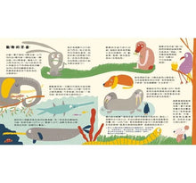 Load image into Gallery viewer, 我的身體祕密知識繪本--我的健康守門員:牙齒