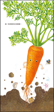 Load image into Gallery viewer, 我的蔬菜寶寶