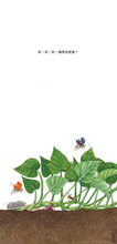 Load image into Gallery viewer, 我的蔬菜寶寶