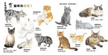 Load image into Gallery viewer, 大森裕子生活圖鑑系列:貓咪亮相了!
