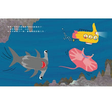 Load image into Gallery viewer, 手掌鯊魚